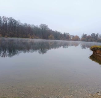 Cold water therapy in a lake in Germany for ice bath benefits and cold exposure health.