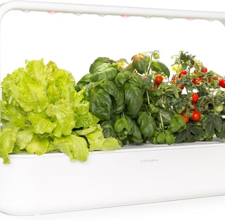Indoor Herb Garden Kit with Grow Light Easier Than Hydroponics Growing System Smart Garden for Home