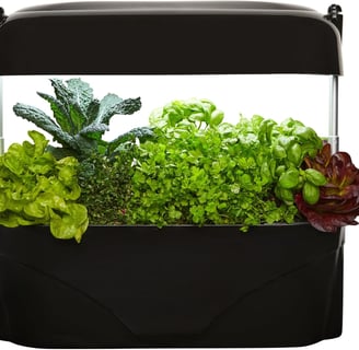 Culinary Herb Starter Kit Kitchen Garden Gourmet Herb and Vegetable Indoor Self-Watering System