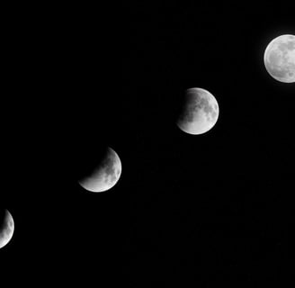 a black and white photo of a moon phases of phases of phases of phases of