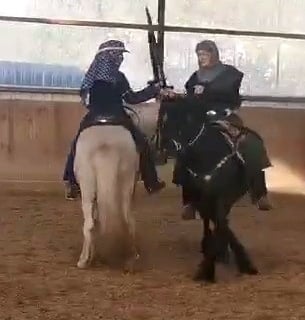 mounted combat