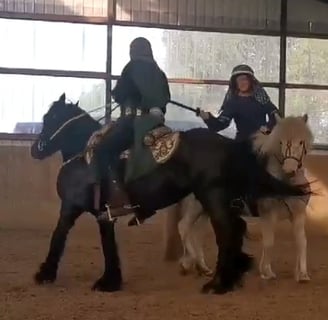 mounted combat