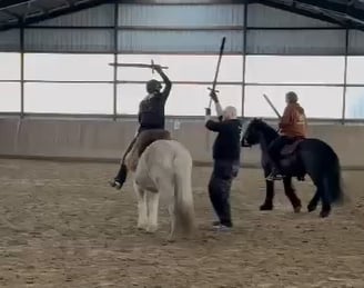 Mounted Combat