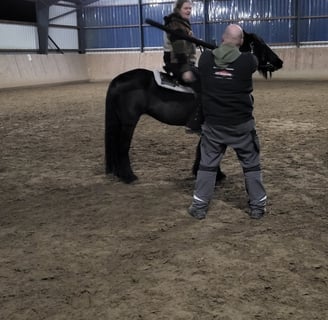 Theoretische Erörterungen Rossfechten