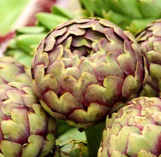 Benefits Artichoke