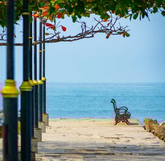 a bench with a bench and a bench in the sand