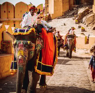 a man riding on an elephant in india
