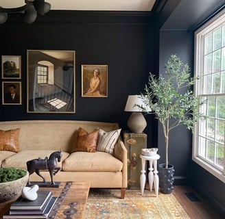 2025 Hottest Color Charcoal Black