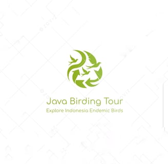 Java Birding Tour