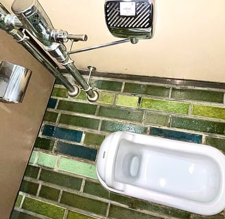 a traditional Japanese toilet require you to squat