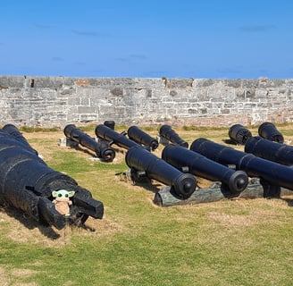 11 cannons with a little green companion in front of one