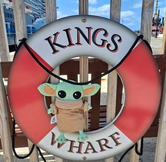 Little Green companion sitting inside life preserver that says Kings Wharf