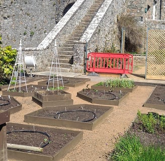 garden in front of steep stone steps