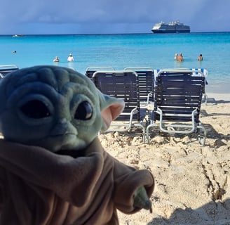 Little Green Companion on Beach
