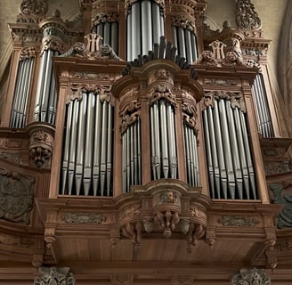 Large Organ