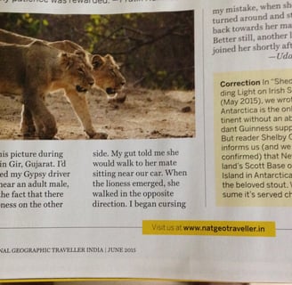 Uday kiran's image of lioness in the National Geographic Traveller