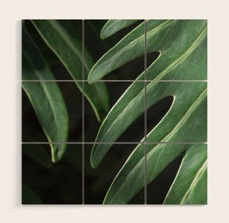 Tropical Leaves on Black Wood Wall Art BY Brooke T Ryan Photography