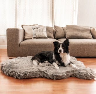 dog sleeping on the puprug faux fur orthopedic dog bed