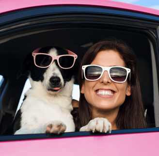 dog on woman going on a road trip