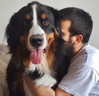 (Bentinho e Dante - Pet Sitting em Edimburgo, Escócia - Julho/2023)