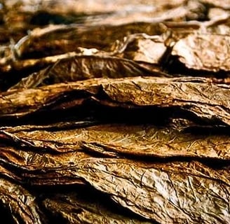 Tobacco leaves