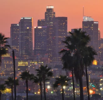 palmen und die skyline von los angeles
