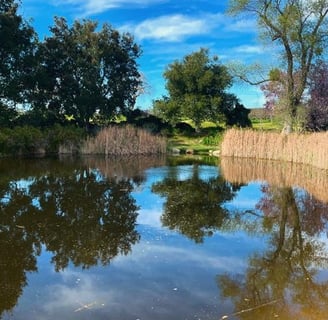 Elegant Los Olivos property with mountain views – second home and vacation mortgage solutions
