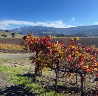 Solvang real estate and mortgage services – Black Oak Homes