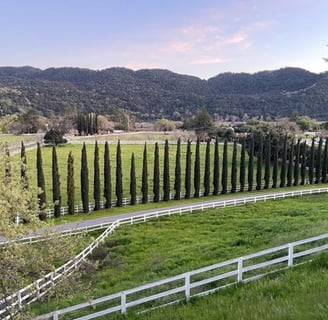 Santa Ynez Valley mountain views – peaceful real estate setting for ranches and estates
