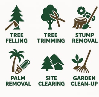 tree felling services in cape town