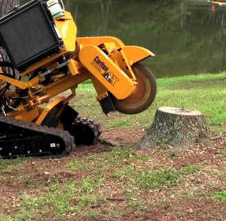 stump removal services