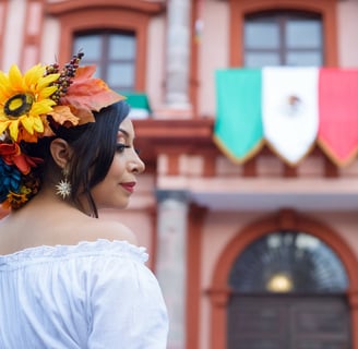 digital nomad visa for mexico