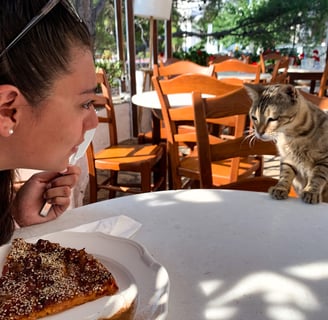 Eating Watermelon Pie from Milos Greece