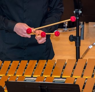 concierto de música con marimba