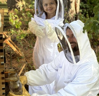 Beekeeping Aid: Supporting the Craft That Sustains Our Ecosystem