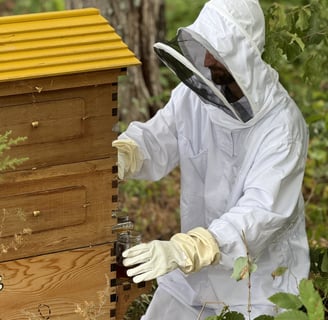 Beekeeping Hoodies and Jackets: Comfort, Protection, and Style in the Apiary
