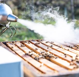 Der Smoker: Ein zentrales Werkzeug für ruhige und sichere Bienenarbeit