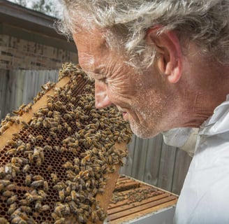 Colony Collapse Disorder – Causes, Prevention, and Protective Solutions