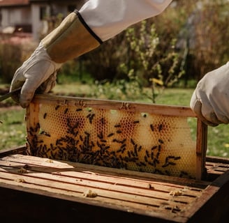 Embracing Modern Beekeeping Technology