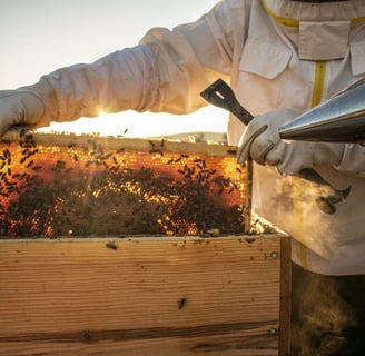Mastering Advanced Hive Management