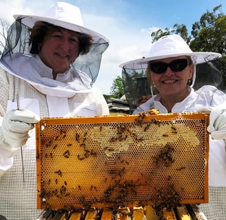 Large commercial bee yard with rows of hives and beekeepers in matching protective suits from Heliotrope Bee.