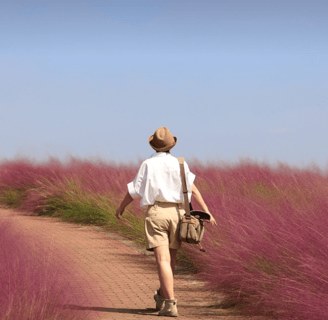 Woman in Lavender Field