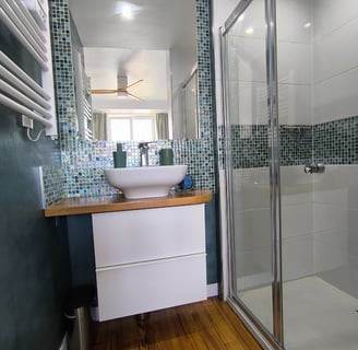 salle de bain privative petit espace béton ciré mosaïque verre douche italienne