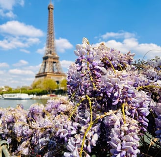 floraison printemps paris tour eiffel