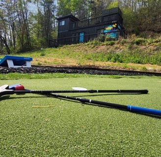 a pair of golf clubs on putting mat
