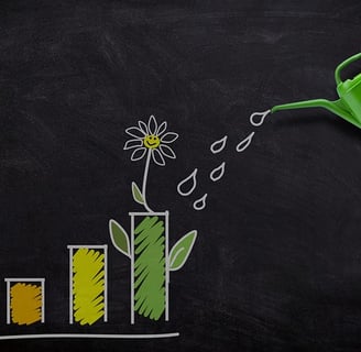 Quanto Economizo te ensina o passo a passo de como começar a investir