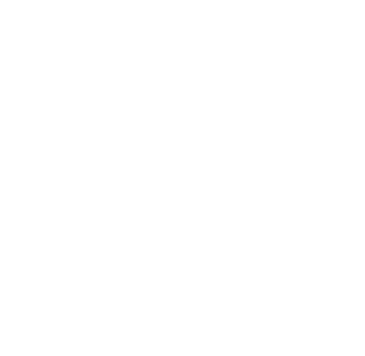 Mastermind Coaching, Business Mentalcoach, Führunngskräftecosch, Executive Coach, , Teamcoach; rene Guhl