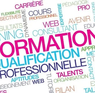 Professionnel guidant un organisme de formation dans la préparation d'un audit