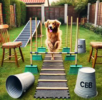 DIY dog obstacle course