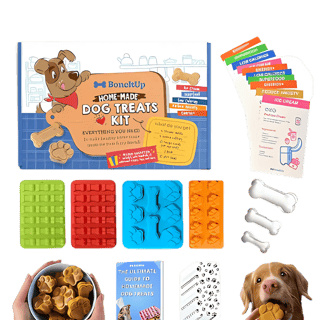 DIY homemade pet treats